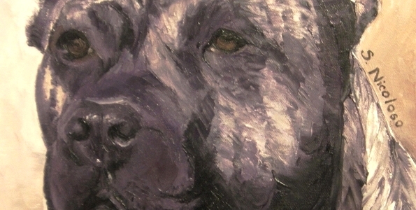 DOGO CANARIO . huile couteau