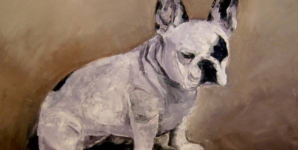 BOULEDOGUE FRANCAIS . huile couteau