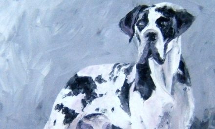 DOGUE ALLEMAND . huile couteau