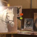 Salon du Cheval EUREXPO . 14ème Edition