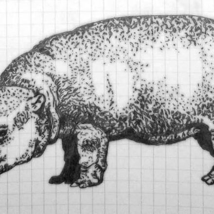 Hippopotame (stylo bille)