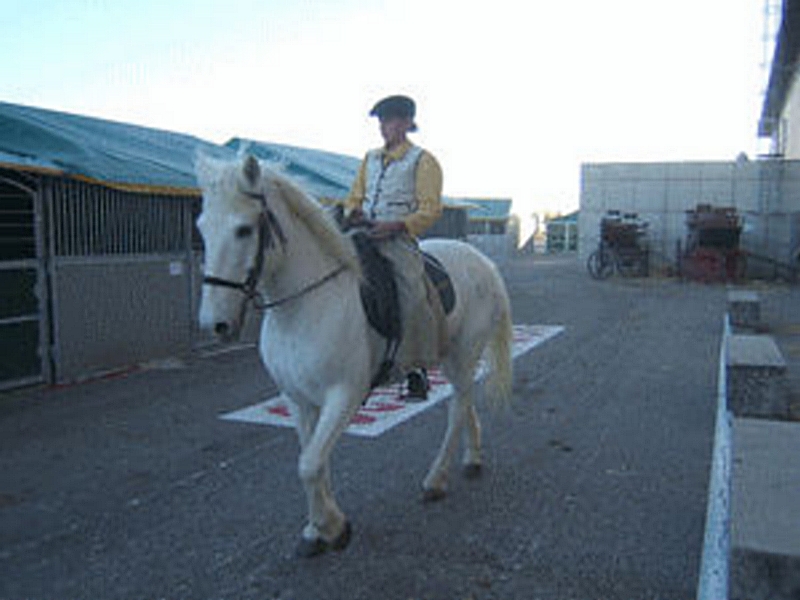 Salon du cheval & du poney LYON EUREXPO . 12ème Edition (photo)