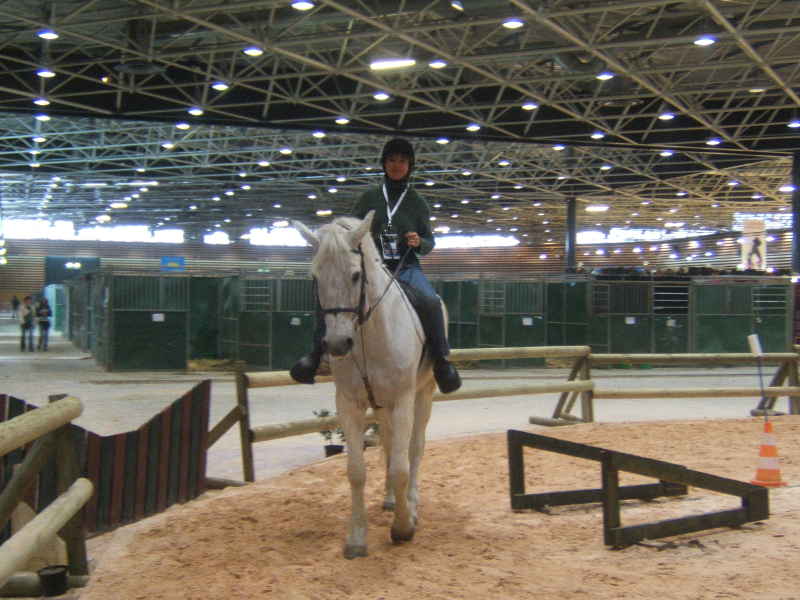 Salon du cheval & du poney LYON EUREXPO . 13ème Edition (photo)