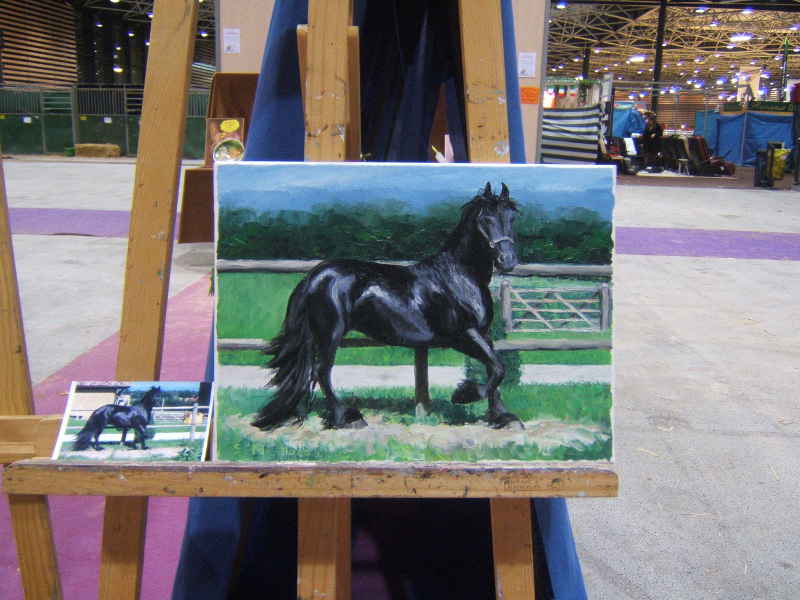 Salon du cheval & du poney LYON EUREXPO . 13ème Edition (photo)