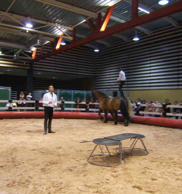 Salon du cheval & du poney LYON EUREXPO . 14ème Edition (photo)