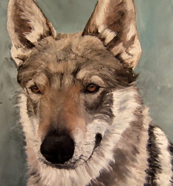 AR'WANN . chien loup tchécoslovaque (peinture)