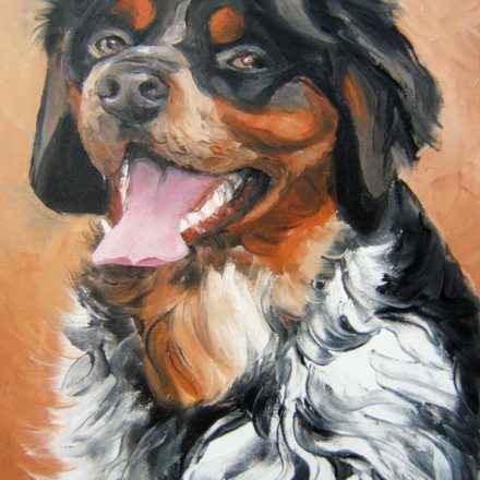 ATHOS . épagneul tricolore (peinture)