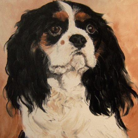 CAVALIER KING CHARLES (peinture)