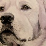 BAGO . huile couteau