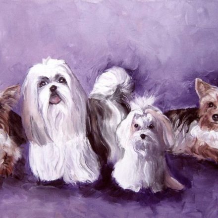 BICHON, SHIHTZU & YORK (peinture)