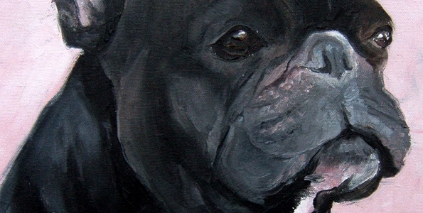 BOULEDOGUE FRANCAIS . huile couteau