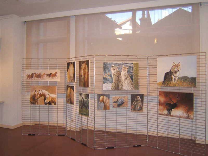 Exposition BOURGOIN JALLIEU . 1ère expo personnelle (photo)