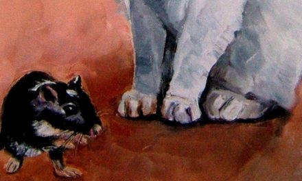 CHAT & GERBILLE . huile couteau