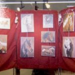 Expo MEYZIEU . 16ème Edition