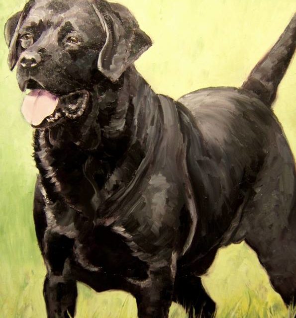 OLE . Labrador noir (peinture)