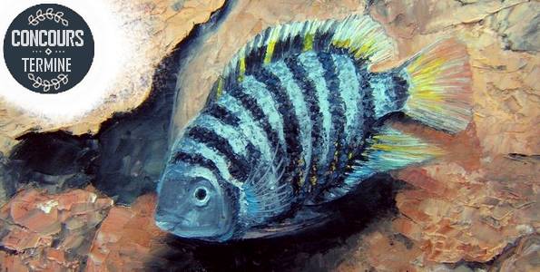 Concours PRESENCE DES ARTS