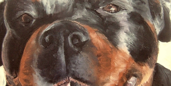 ROTTWEILER . huile couteau