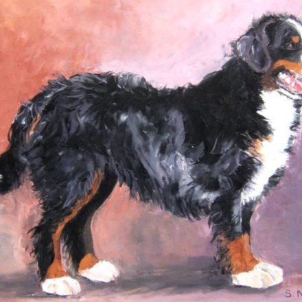 BOUVIER BERNOIS (peinture)