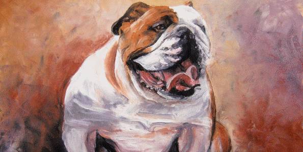 BULLDOG  . huile couteau