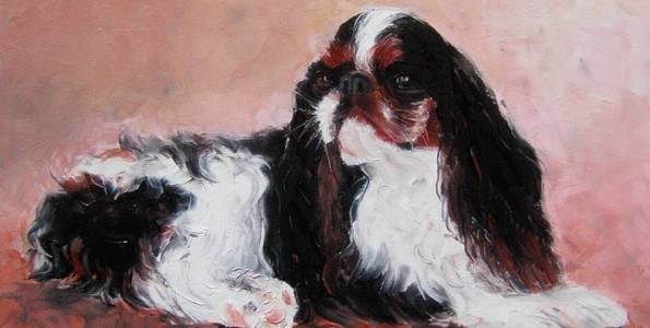 CAVALIER KING CHARLES . huile couteau
