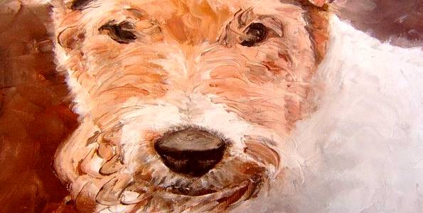 FOX TERRIER à poil dur . huile couteau