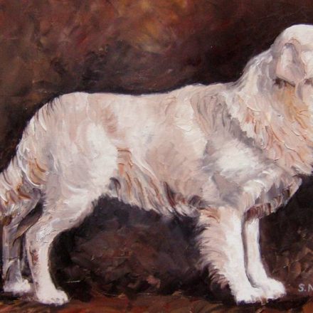 GOLDEN RETRIEVER (peinture)