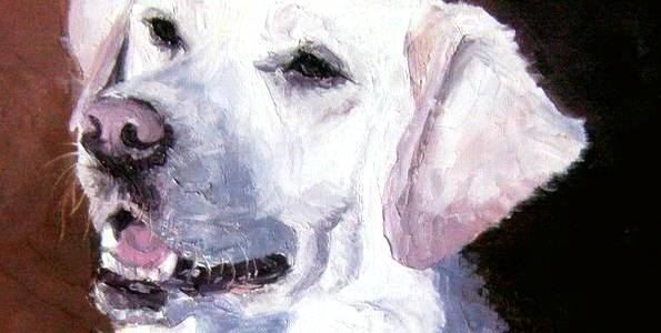 LABRADOR BLANC  . huile couteau