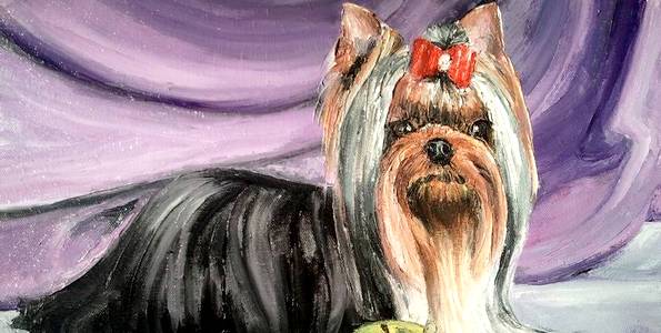 ROYAL KAMIKADZE . huile couteau