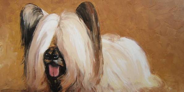 SKYE TERRIER . huile couteau