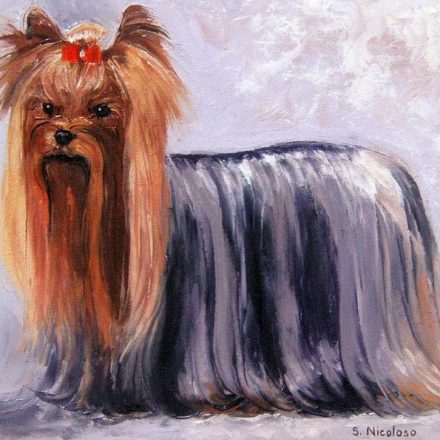 YORKSHIRE TERRIER (peinture)