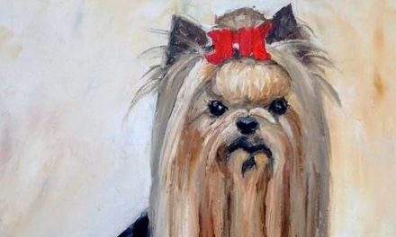 YORKSHIRE TERRIER . huile couteau