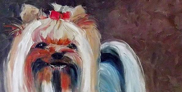 YORKSHIRE TERRIER . huile couteau