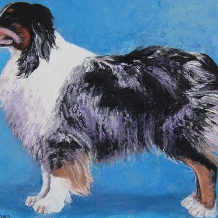 BERGER AUSTRALIEN (peinture)