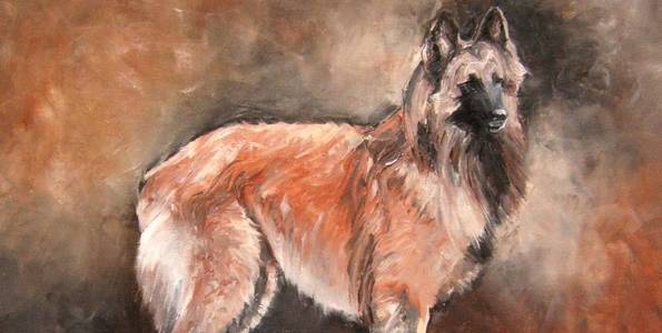 BERGER BELGE . huile couteau