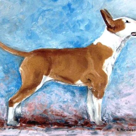 BULL TERRIER (peinture)
