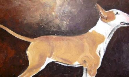 BULL TERRIER . huile couteau