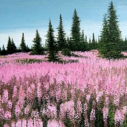CHAMPS DE LUPINS (peinture)