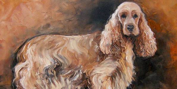 COCKER ANGLAIS . huile couteau