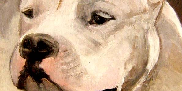 DOGUE ARGENTIN . huile couteau