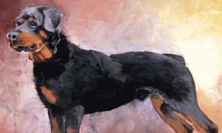 ROTTWEILER . huile couteau