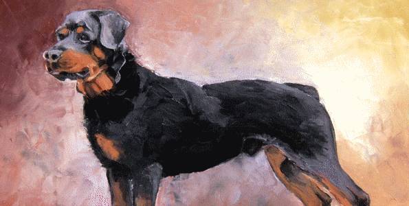 ROTTWEILER . huile couteau