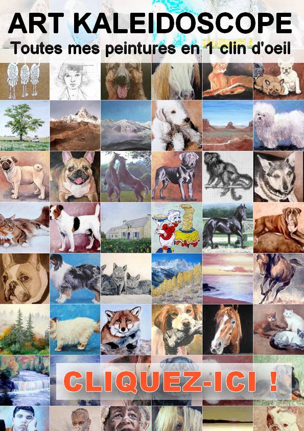 Cliquez ici pour voir toutes mes peintures en 1 clin d'oeil !